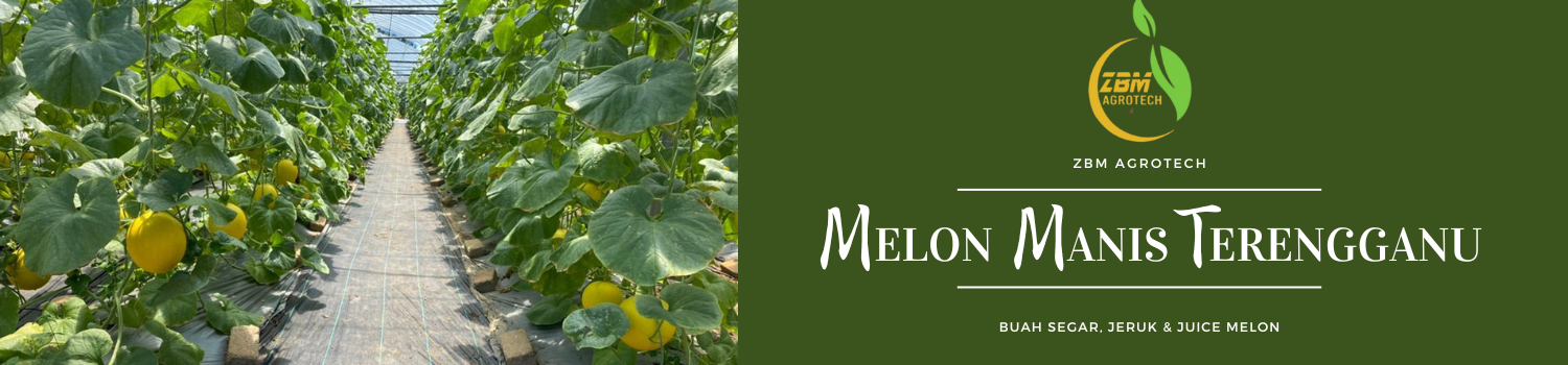 ZBM AGROTECH - Slide 2