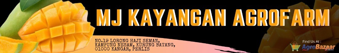 MJ KAYANGAN AGROFARM (Harumanis) - Slide 1